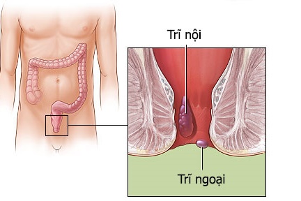 Jual Ambejoss Salep Salwa Obat Wasir De Nature Di Merangin